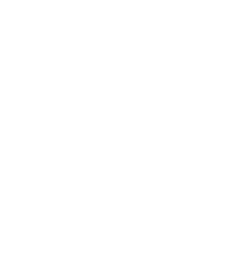 Worldwide Shipping