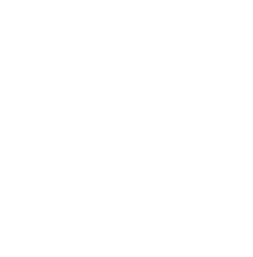 Multi-Lingual Team